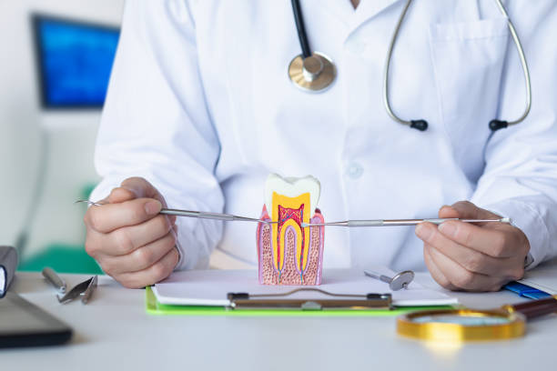 Best Emergency Dental Care for Broken or Chipped Teeth in Knollwood, IL